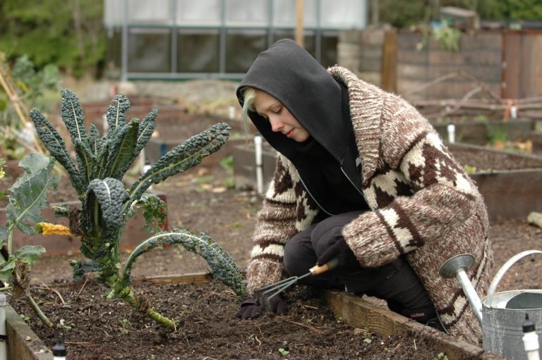 Digging out the soil