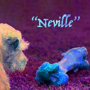 Neville album cover