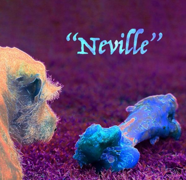 Neville album cover
